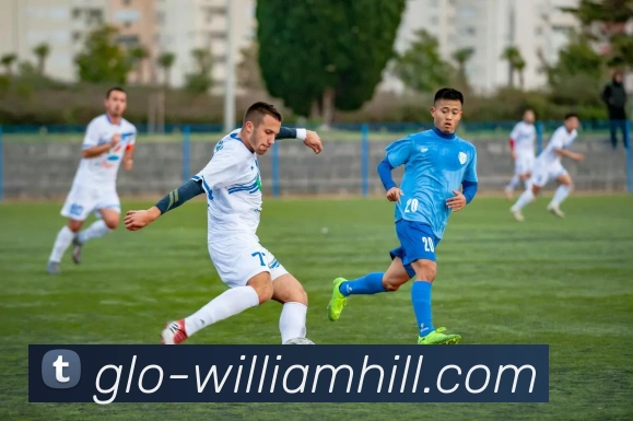 多媒体互动体验