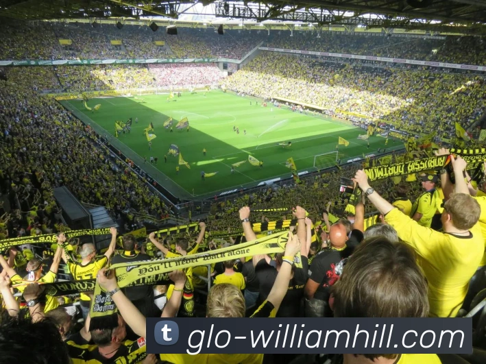 BETWAY必威官网APP 体育赛事宣传图