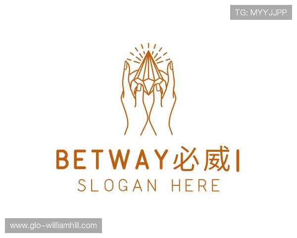 了解BETWAY必威
